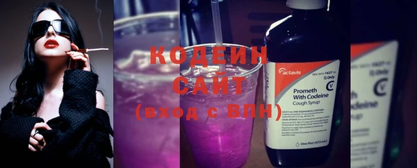 хмурый Липки
