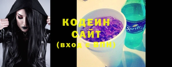 хмурый Липки