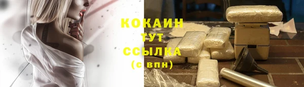 спайс Менделеевск