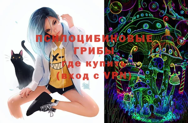 хмурый Липки