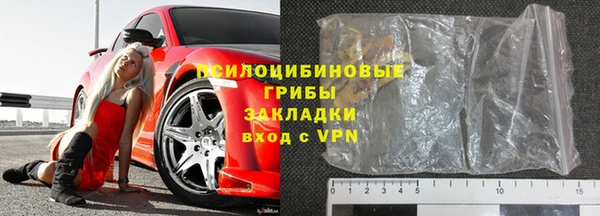 хмурый Липки