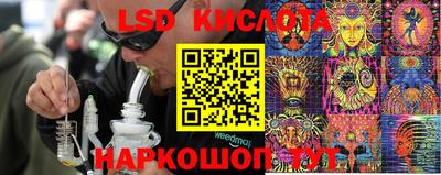 эйфоретик Бийск