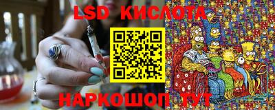 гашик Донской