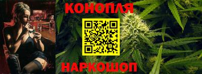 гашик Донской