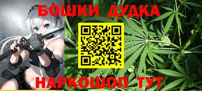 гашик Донецк