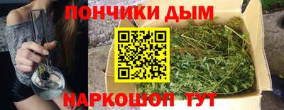 гашик Донской