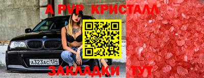 гашик Донской