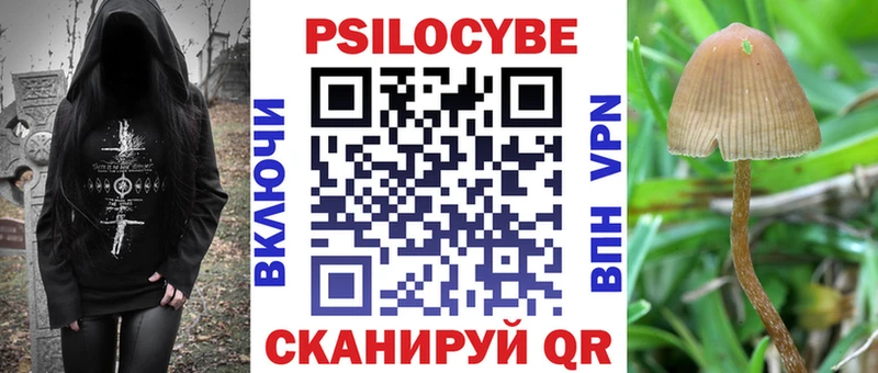 Галлюциногенные грибы Cubensis  сколько стоит  Саров 
